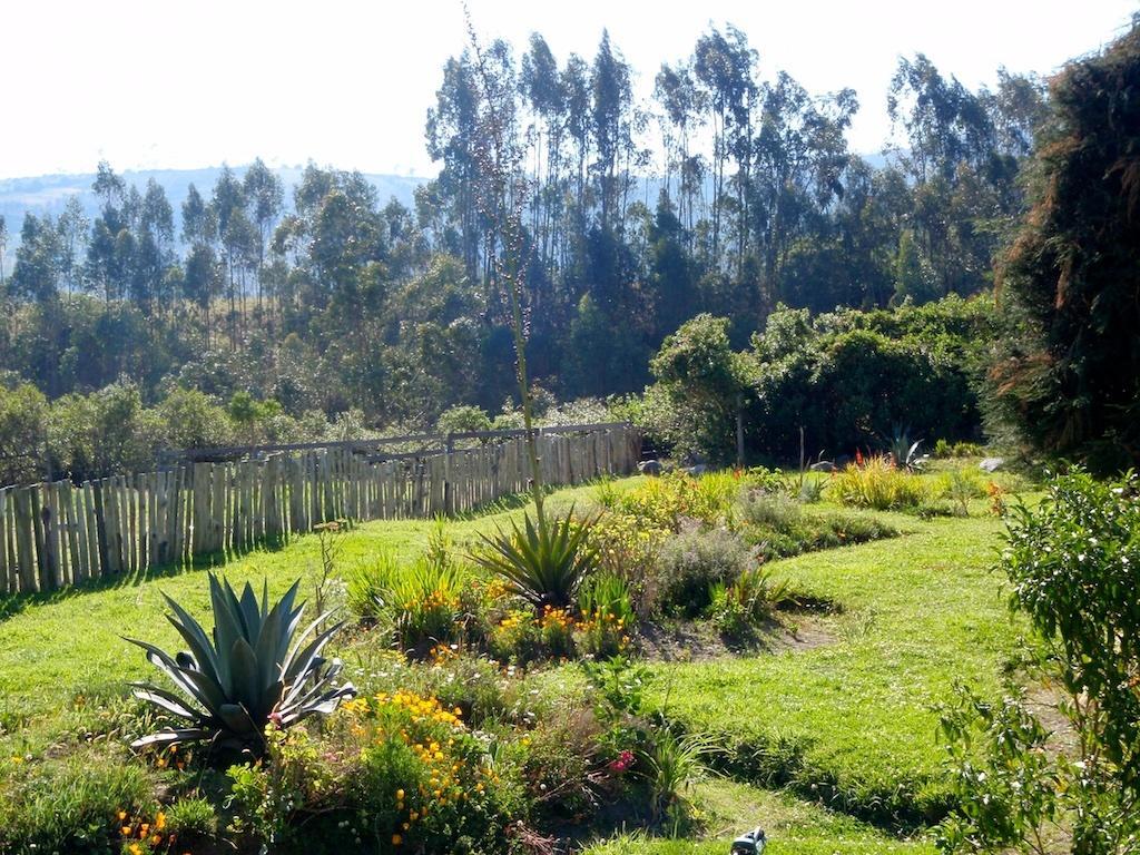 Hosteria Hotel Cuello De Luna - Cotopaxi - Country Inn Lasso Екстериор снимка
